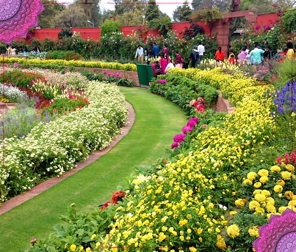 flowers park in india